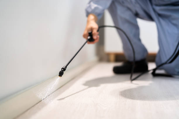 Licensed Fumigation Services service in Mountain Green, UT - Nex Pest Control
