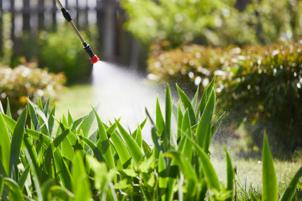 24/7 Emergency Fumigation Services experts in Mountain Green, UT