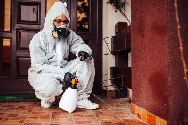 Reliable Fumigation Services contractor in Mountain Green, UT by Nex Pest Control